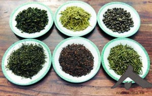 aitea.ru